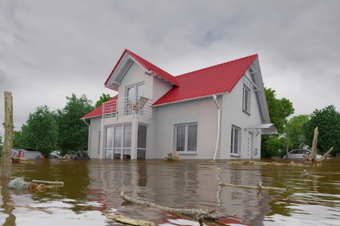 Flood insurance policies